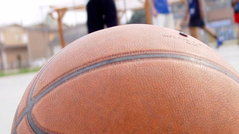 垂直绿化灌溉：标准与实施要点**