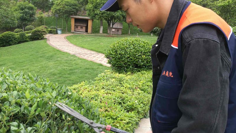 工厂绿植租赁，如何选择合适的厂家？**