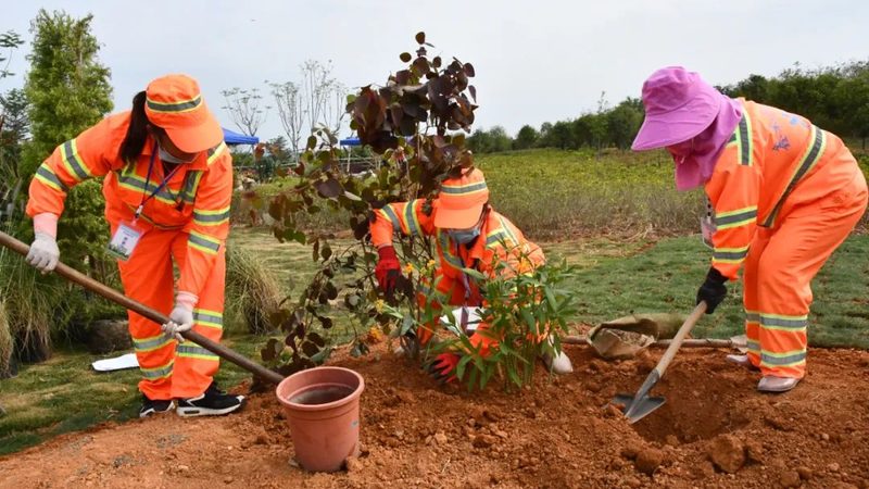 别墅花园设计施工费用主要由以下几部分构成：