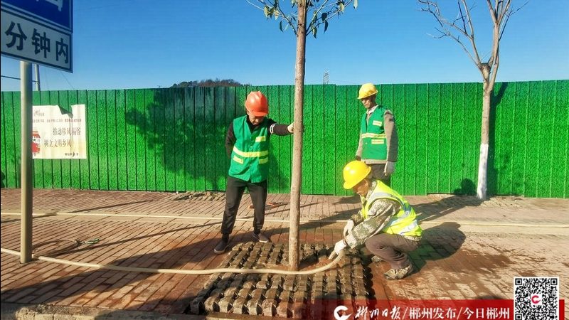 草坪铺设验收标准上海：关键要素与验收流程
