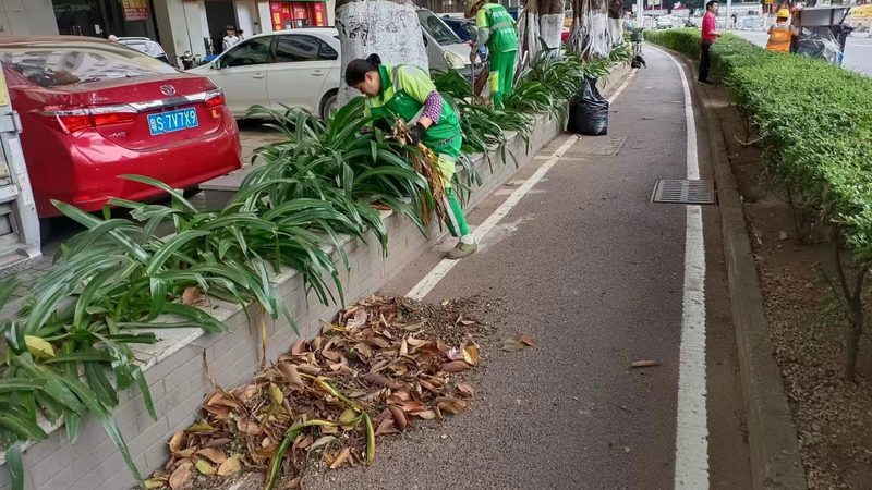 工厂绿化养护定价为何差异大