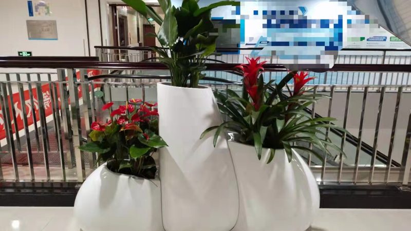苗木种植技术视频教程：揭秘专业施工流程