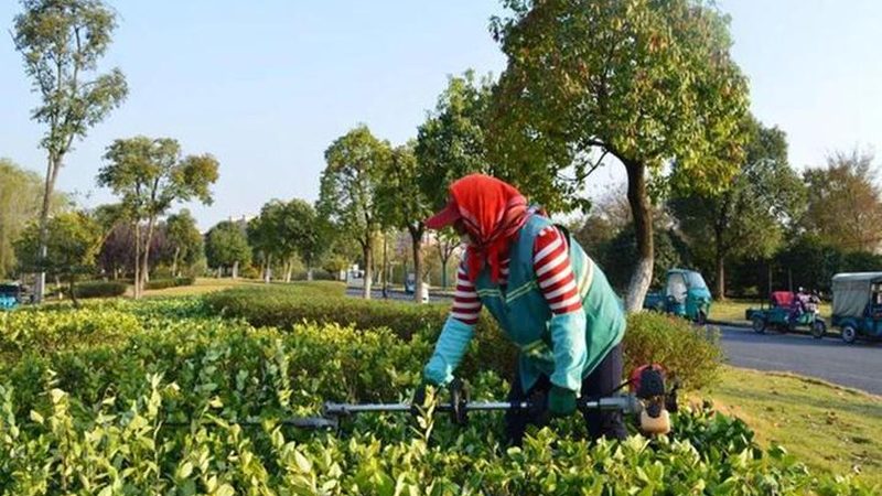 绿化资质新办：厂家代理如何选择？**