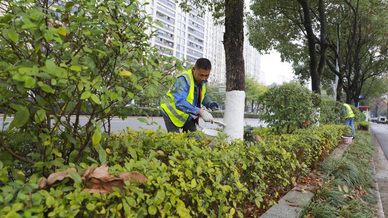 植物墙灌溉系统：如何实现高效节水与便捷养护**