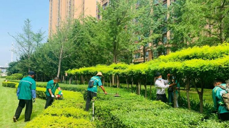市政绿化养护，这些设备清单不可少**